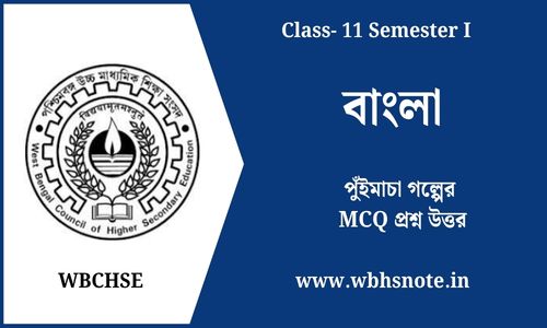 পুঁইমাচা গল্পের MCQ