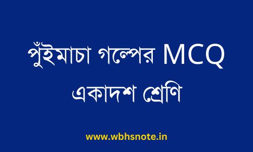 পুঁইমাচা গল্পের MCQ একাদশ শ্রেণি