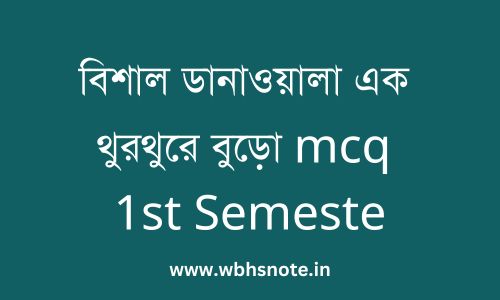 বিশাল ডানাওয়ালা এক থুরথুরে বুড়ো mcq 1st Semeste