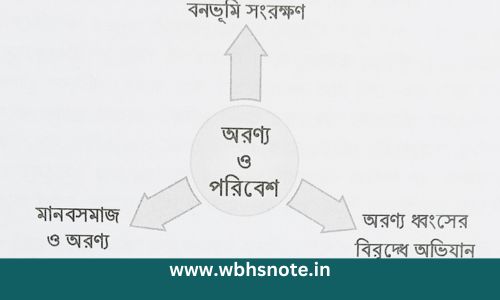 পরিবেশ রক্ষায় অরণ্য - মানস মানচিত্র অবলম্বনে বাংলা প্রবন্ধ রচনা