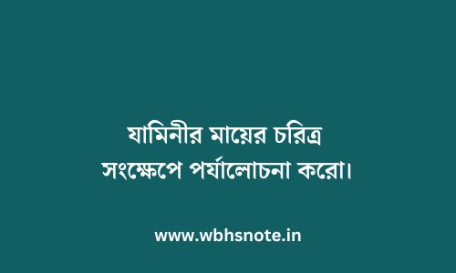 যামিনীর মায়ের চরিত্র সংক্ষেপে পর্যালোচনা করো