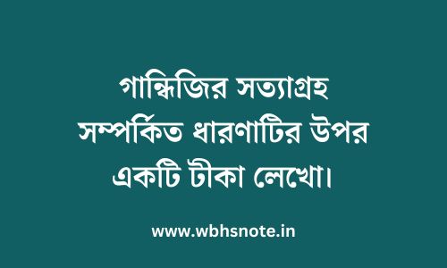 গান্ধিজির সত্যাগ্রহ সম্পর্কিত ধারণাটির উপর একটি টীকা লেখো