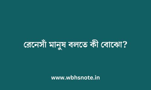 রেনেসাঁ মানুষ বলতে কী বোঝো