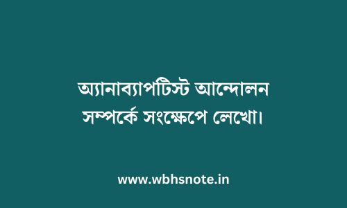 অ্যানাব্যাপটিস্ট আন্দোলন সম্পর্কে সংক্ষেপে লেখো