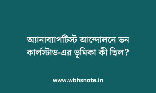 অ্যানাব্যাপটিস্ট আন্দোলনে ভন কার্লস্টাড-এর ভূমিকা কী ছিল