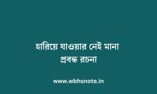 হারিয়ে যাওয়ার নেই মানা প্রবন্ধ রচনা