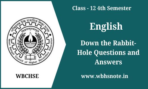 Down the Rabbit-Hole Questions and Answers